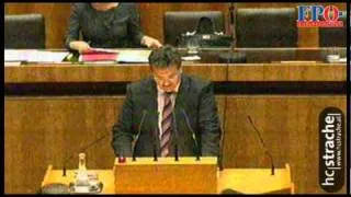 Budget 2011 - Verkehr - Gerhard Deimek, FPÖ