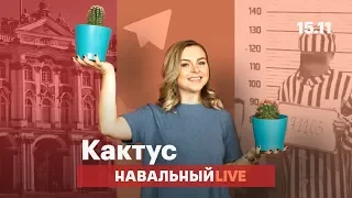 🌵 Виталик исчез, Telegram жив, не дышите на шедевр!