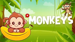 Kids Animals - MONKEYS - Learn English for kids - English educational video