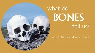 What do bones tell us? The work of forensic anthropologists