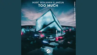 Too Much (Original Mix)