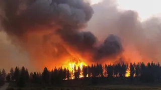 Wildfires rage in Russia, Spain and the US amid high temperatures