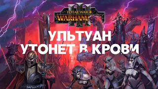 Тёмные Эльфы. Лорды Total War Warhammer 3