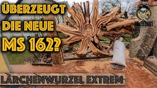 Lärchenwurzel extrem  Holzkunst Scholz Offiziell / Holzkunst Scholz