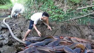 Wild Fishing Exciting, Easy Catch Big Fish With Large Pump Cannon Sucks Water Out Of Wild Lake