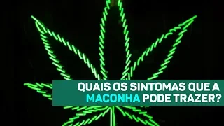 Quais os sintomas que a maconha pode trazer?