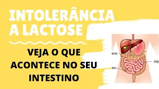 O que é a Intolerância à Lactose e o que acontece no seu corpo.