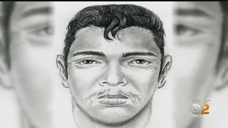 Hunt On For Suspect Who Violently Raped Woman In Her San Pedro Home