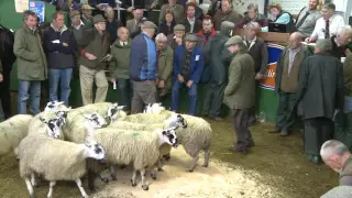 Trailer: The Hill Farmer in the Yorkshire Dales