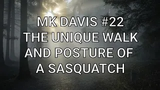 #22   The Unique Walk & Posture Of A Sasquatch