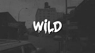 "Wild" | Old School Hip Hop Beat |  Freestyle Boom Bap Beat | Rap Instrumental | Antidote Beats