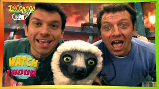 🐘 Zoboomafoo | Full Episodes Compilation | with the Kratt Brothers! HD 🐘