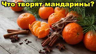 Какую пользу для здоровья приносят мандарины?