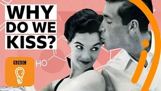The science behind why we kiss | BBC Ideas