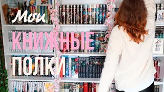 ⚡⚡⚡Мои книжные полки 2024⚡⚡⚡ Обзор всех моих книг📚