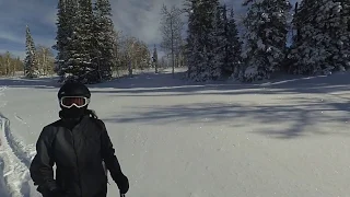 UNTOUCHED POWDER RUNS in Vern's Bowl, Powder Mountain, Utah