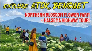 Let's Explore ATOK BENGUET & NORTHERN BLOSSOM FLOWER FARM! INCREDIBLE SCENERY of Benguet Philippines