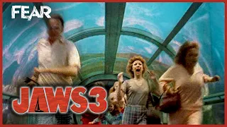 Trapped In The Aquarium | Jaws 3 | Fear