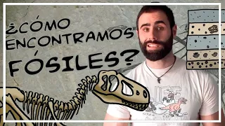 ¿CÓMO se ENCUENTRAN los FÓSILES y YACIMIENTOS? - Aprende con Pakozoico