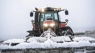 Zimowo Oporowo || Talerzowanie w Śniegu! 2021 || Massey Ferguson 7726 || Jedyna taka akcja na 20ha