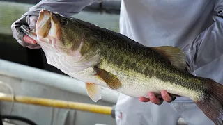 Tracking Bass on Toledo Bend