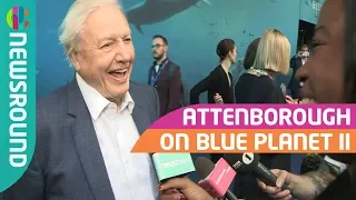 David Attenborough on Blue Planet 2 | CBBC