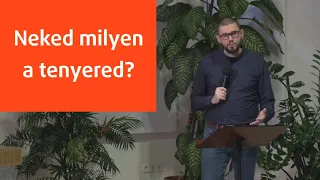 Élő Üzenet - Neked milyen a tenyered?