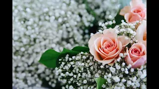 Gumpaste Baby's Breath (Gypsophila)