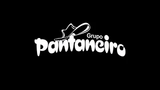 Grupo Pantaneiro Ao Vivo (Chamamé/Vaneira)