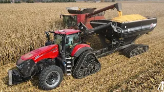 2 Case-IH Combines harvesting corn in Michigan!