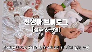 [육아브이로그]조리원 안가고 집에서 산후조리 | 산후 도우미 없이 첫 주말 | 신생아24시간