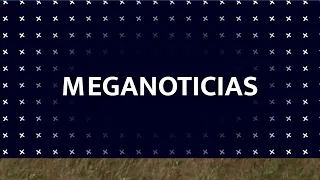 Coyotes en las zonas urbanas de Veracruz