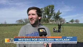 Cabra mutilada en Isletas, testimonio del propietario del campo y de la gente de Visión Ovni