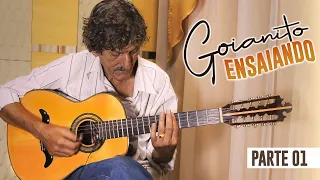 Goianito ensaiando algumas músicas na viola - Parte 01