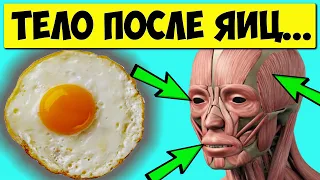 Вашему организму нужны яйца! 10 уникальных фактов о пользе яиц