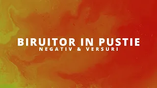 Biruitor in pustie || Negativ (Grupul Eldad)