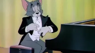 The Cat Concerto but more realistic