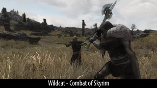 Skyrim mod spotlight 2016. Wildcat - Combat of Skyrim.