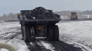 Работа вахтой на Белазе (terex).