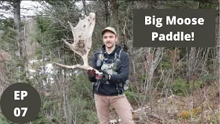 Almost Stepping on Moose Antlers!! EP 07 | Moose Shed Hunting 2022