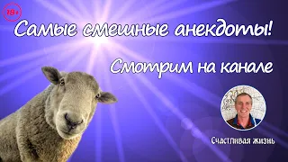 Анекдот Страшный сон. Самый смешной анекдот. Меня интересует Ваша реакция на приколы 2020.