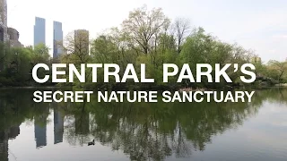 Secret Nature Sanctuary in Central Park | New York City