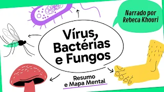 VÍRUS, BACTÉRIAS E FUNGOS | BIOLOGIA | Mapa Mental | Quer Que Desenhe