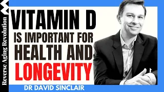 VITAMIN D Is Important For Health & Longevity  | Dr David Sinclair Interview clips