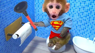 🙉Bi Bon eats fruit jelly and has a stomach ache, sits on the toilet (Funny Baby Monkey) | Animal HT