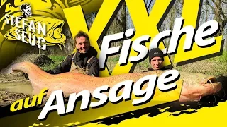 XXL Fische auf Ansage | Rollbraten aus dem Erdloch | Welsangeln am Fluss