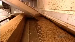 How It's Made Dog and Cat Food