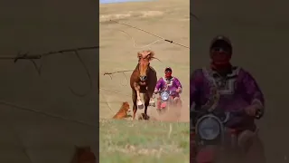 Ловля дикой лошади.
