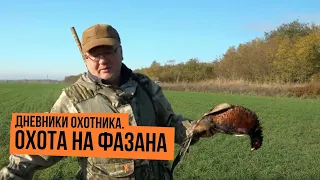 Охота на фазана  Дневники охотника  Сезон 2
