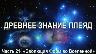 Орис. Серия Звездный Дом. Часть 21. Механизм Эволюции Форм во Вселенной